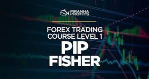 Adam Khoo Forex Trading Pip Fisher Course Level 1