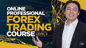 Adam Khoo Forex Trading Pip Fisher Course Level 2